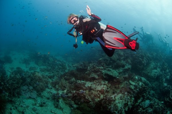 Quand partir en corse ? les meilleures périodes selon vos envies