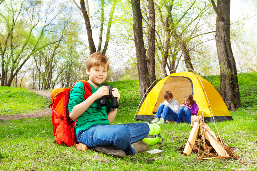 Que faire à vichy et dans les alentours : thermes, nature et culture